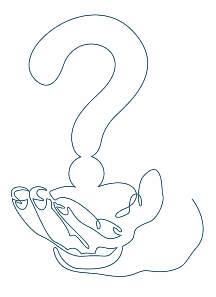 Illustration einer Hand, die ein Fragezeichen hält, symbolisiert häufige Fragen